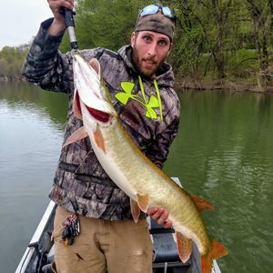 Meet your Posher, Adam